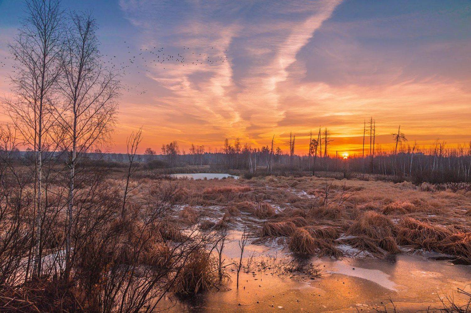 вечер, закат, осень, птицы, солнце, Виктор Климкин