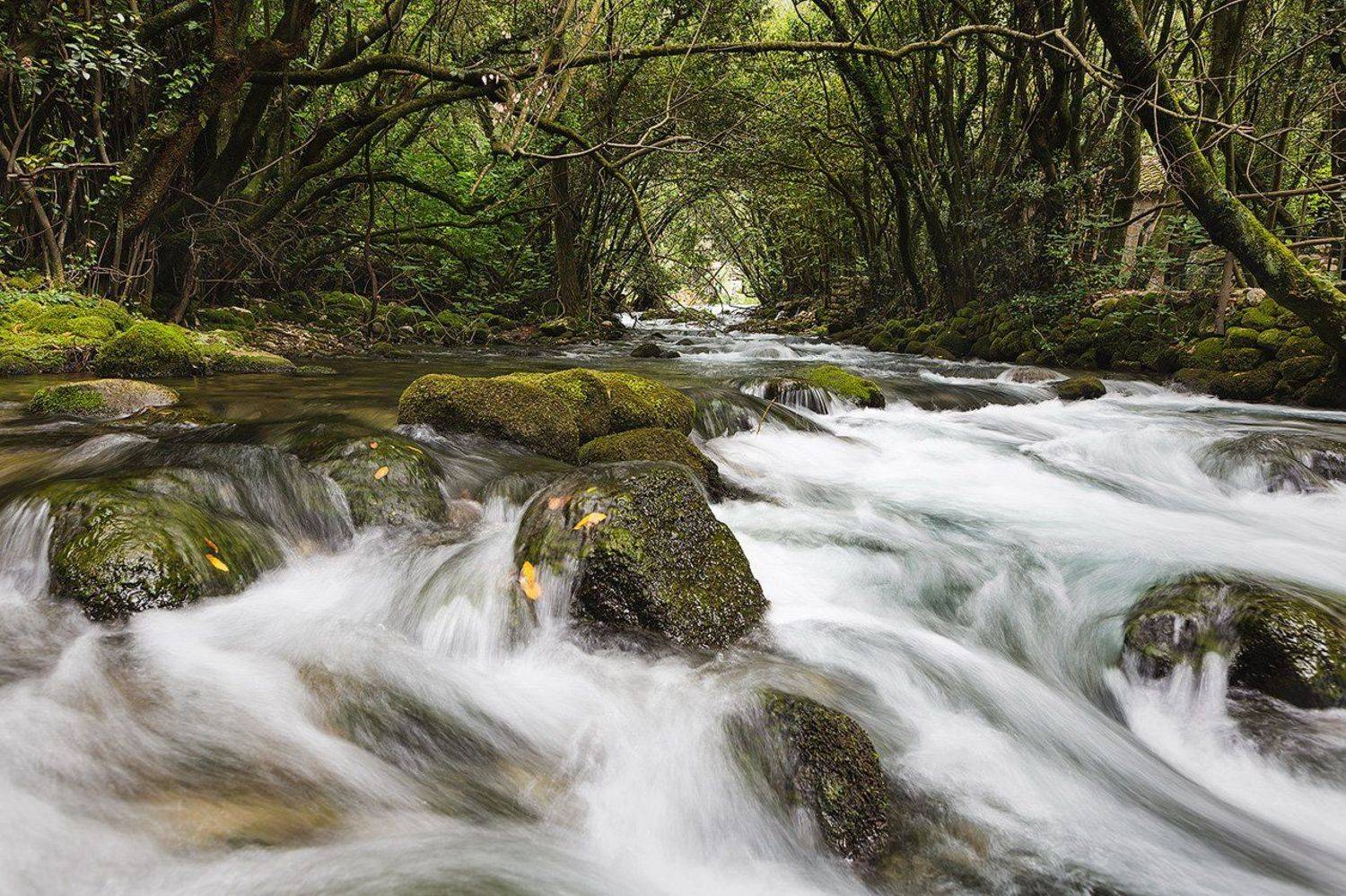 Вода, Горы, Природа, Река, Evgeniy Sh.