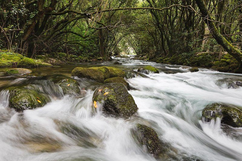 Вода, Горы, Природа, Река Быстрая река фото превью