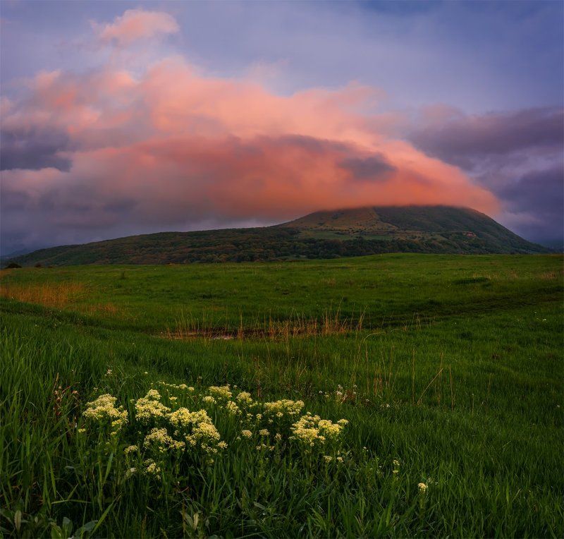 вечер, горы, закат, кавказ, пейзаж, природа, северный кавказ, цветы Джуца фото превью