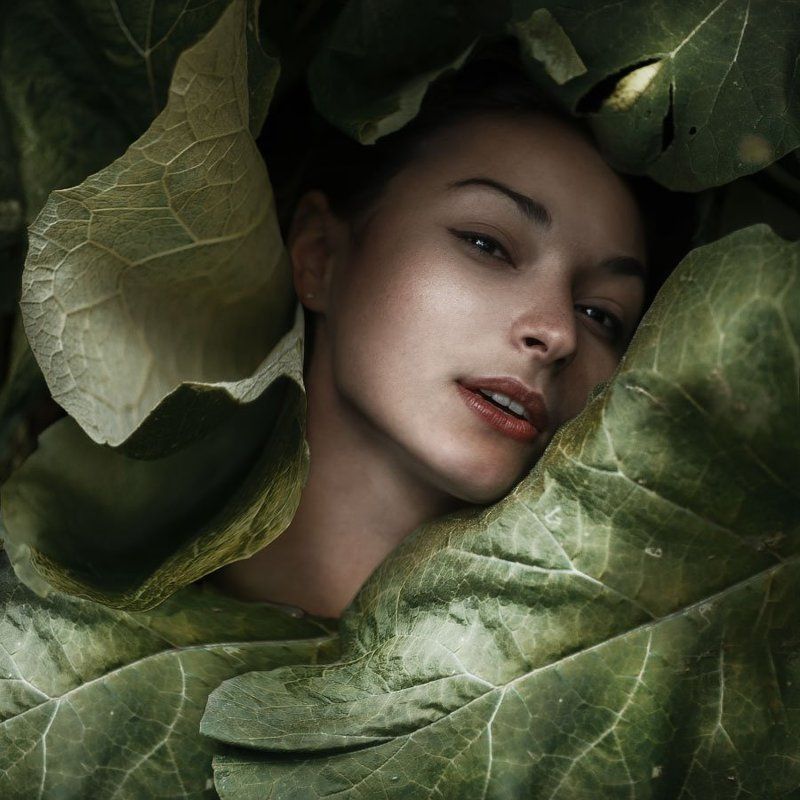 Hlory фото превью