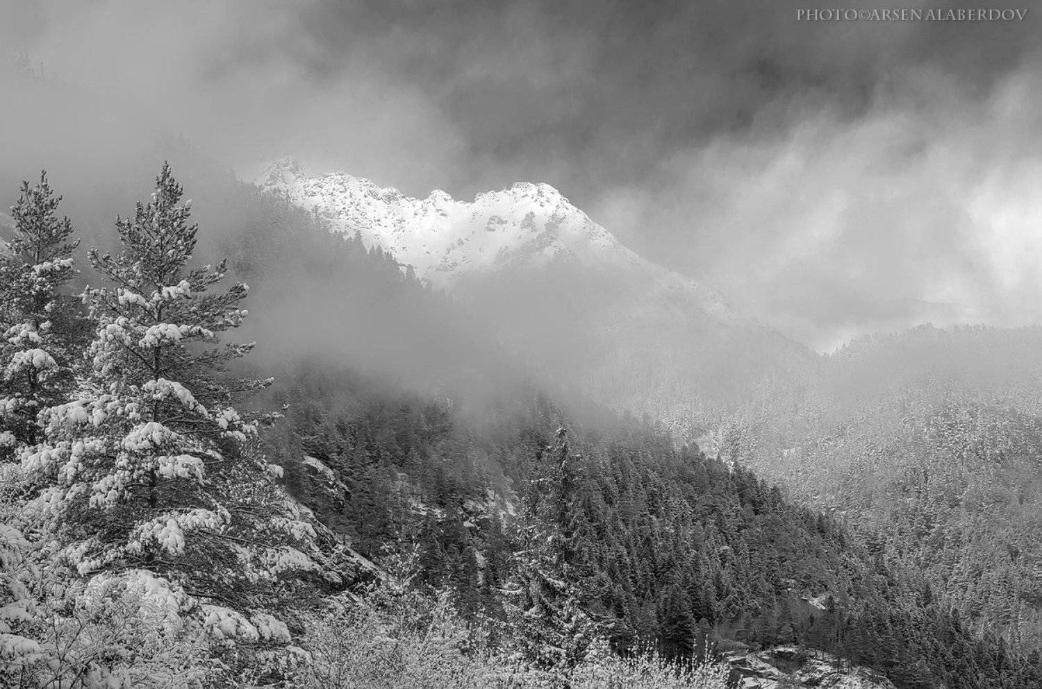 Горы, Домбай, Ели, Зима, Карачаево-Черкесия, Лес, Монохром, Облака, Пихты, Северный Кавказ, Туман, Тучи, Чб, Чёрно-белое, Арсен Алабердов
