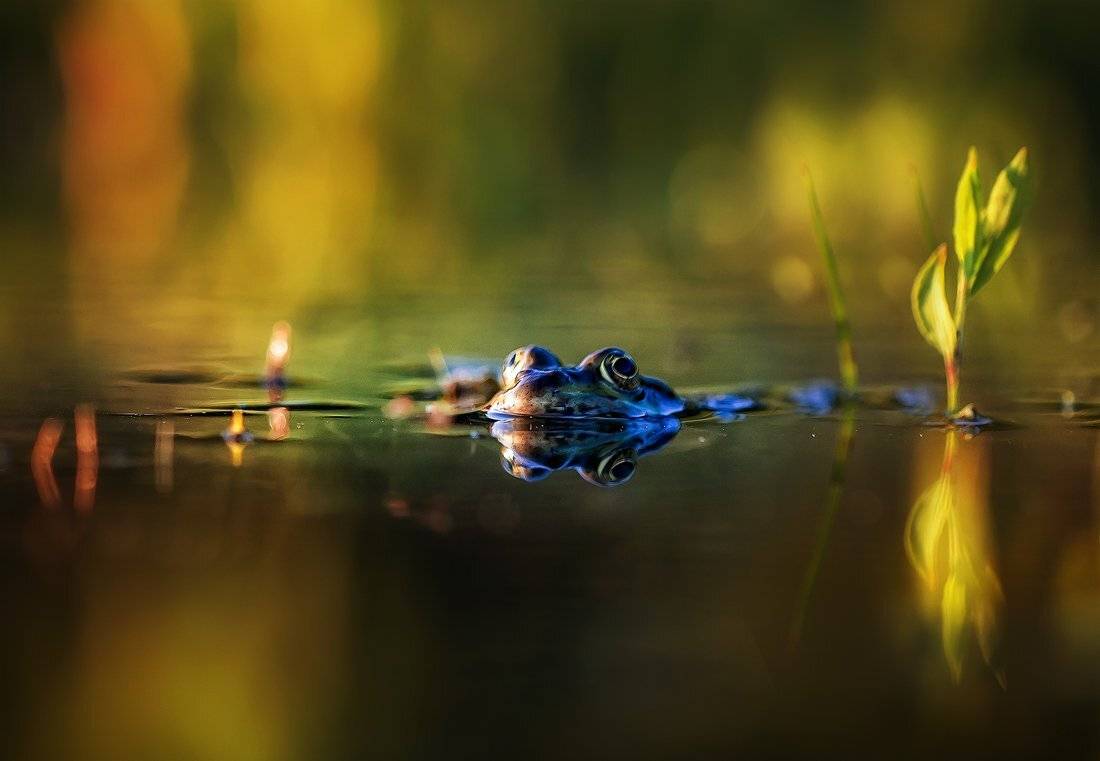 , Ратушнова-Осинцева Арина