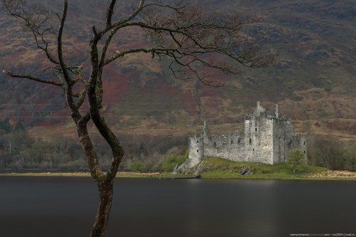 Этюд с деревом и замком Килхурн