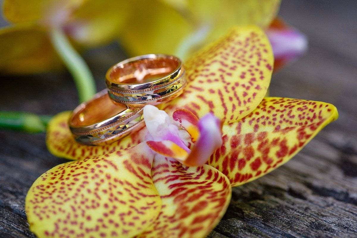 свадебная прогулка, свадьба, жених, невеста, любовь, love story, кольца, mdmmikle, Латвия, Рига, Михаил Маслов