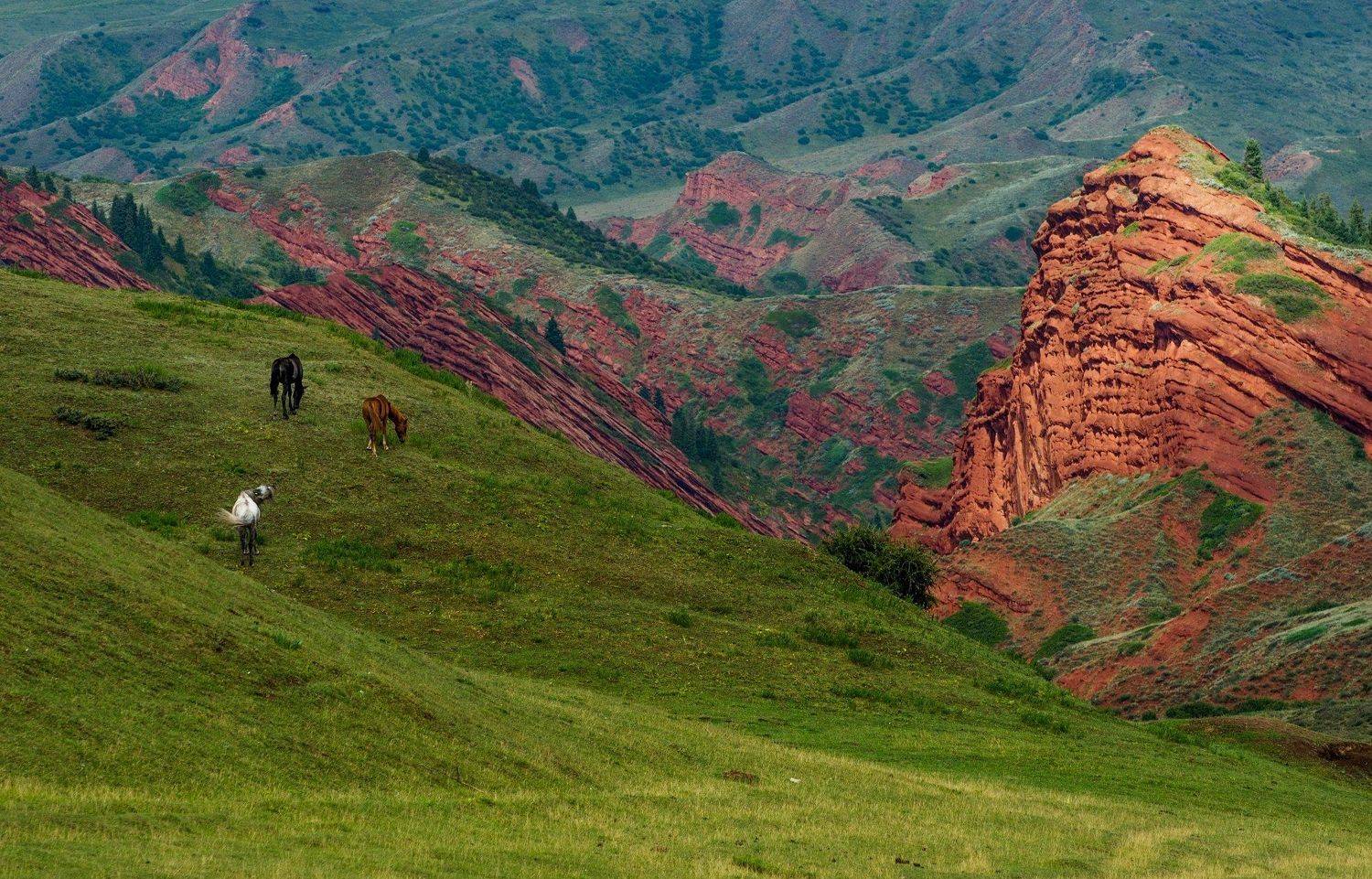 горы, киргизия, Алексей