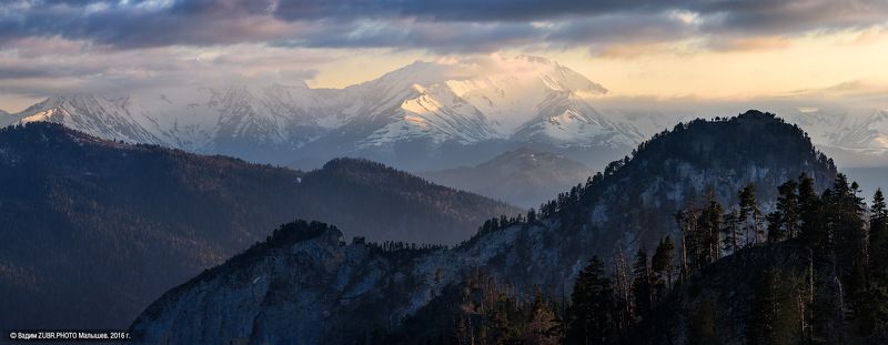 На фоне гигантов фото превью