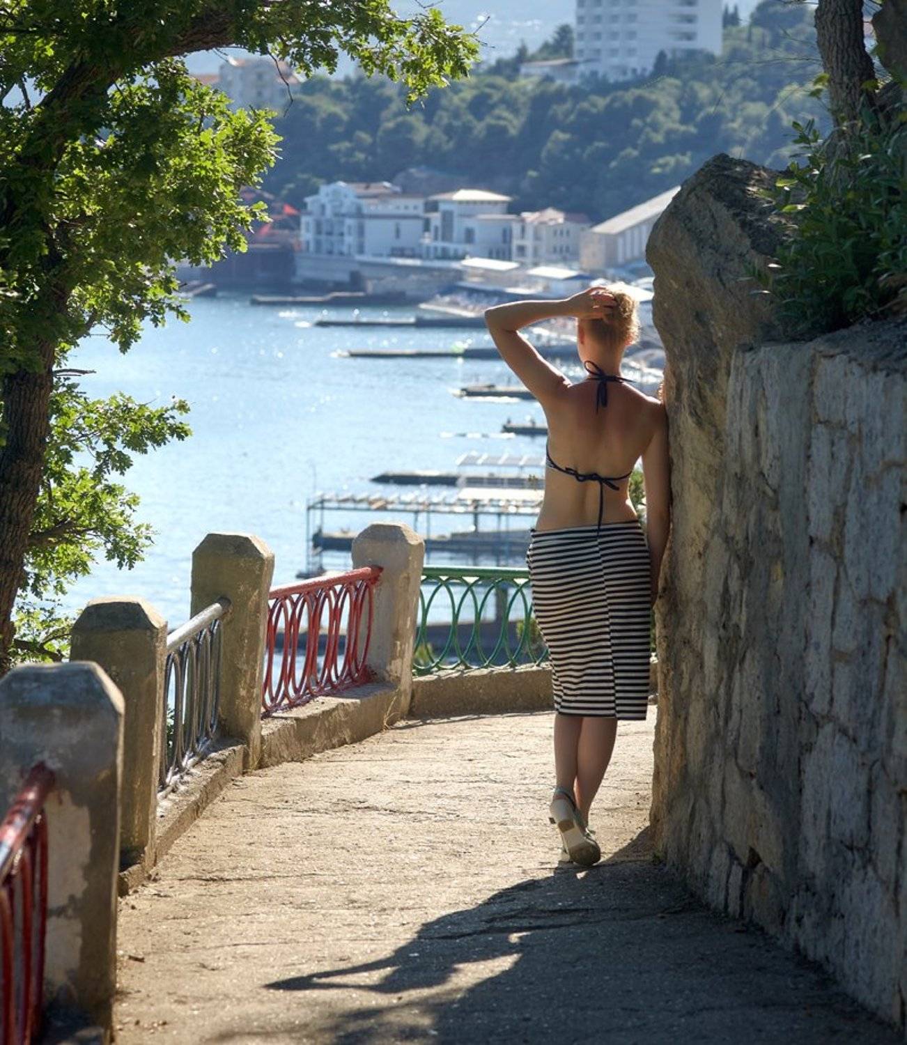 , Франгони Владимир