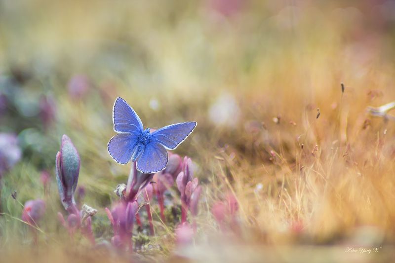 По утру весной фото превью
