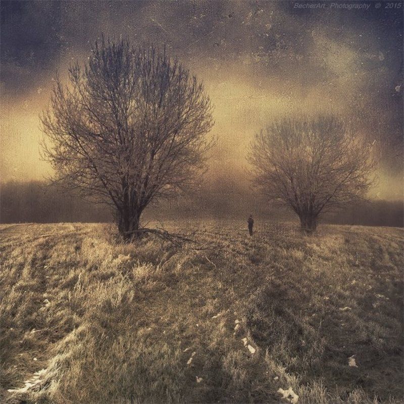 Location:Silence (Part.VII.) фото превью