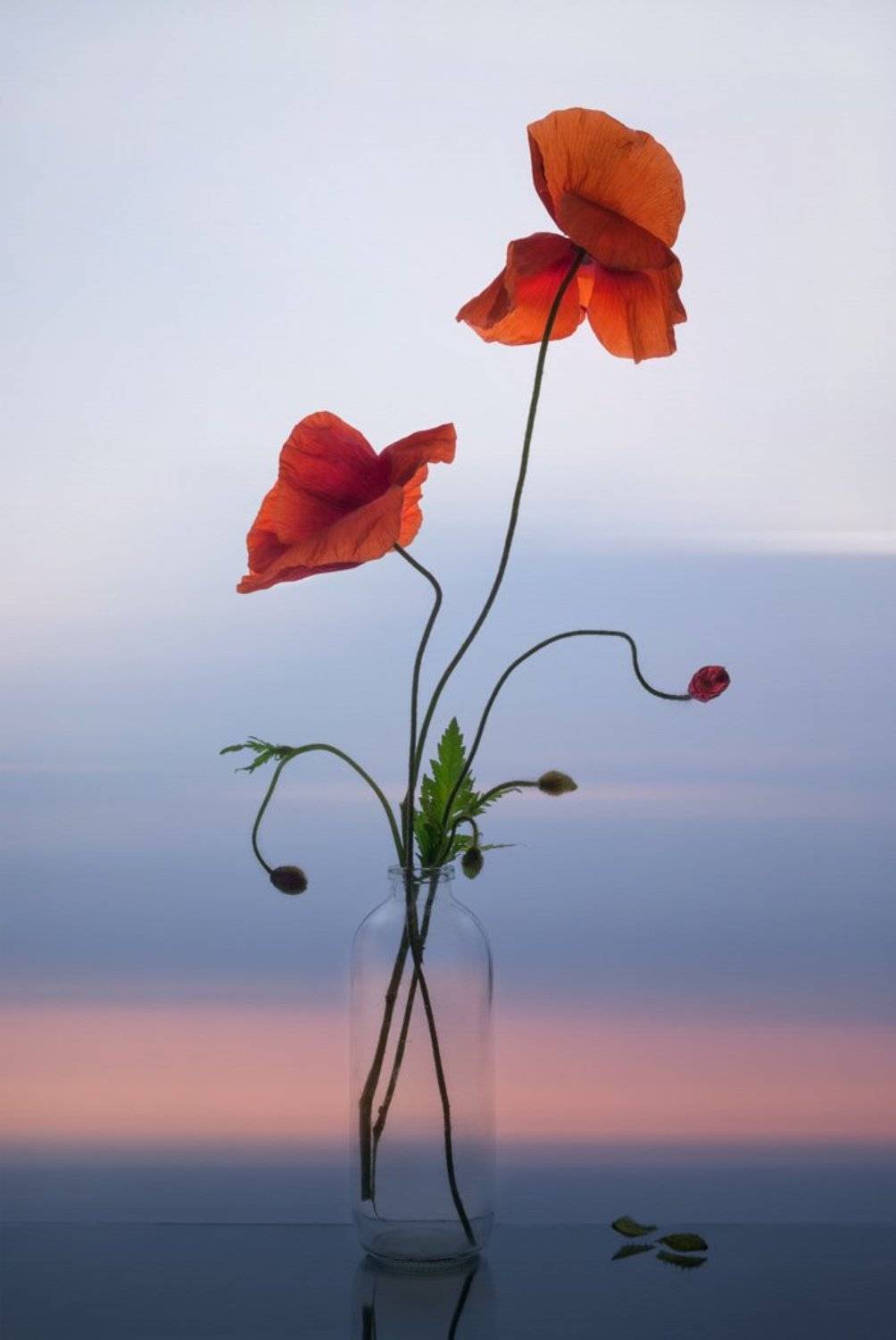 , Людмила Прокофьева