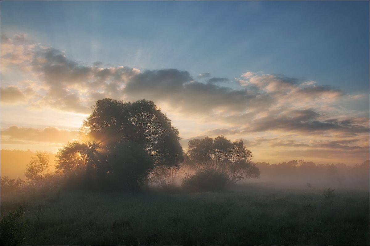 , Александр Маковский