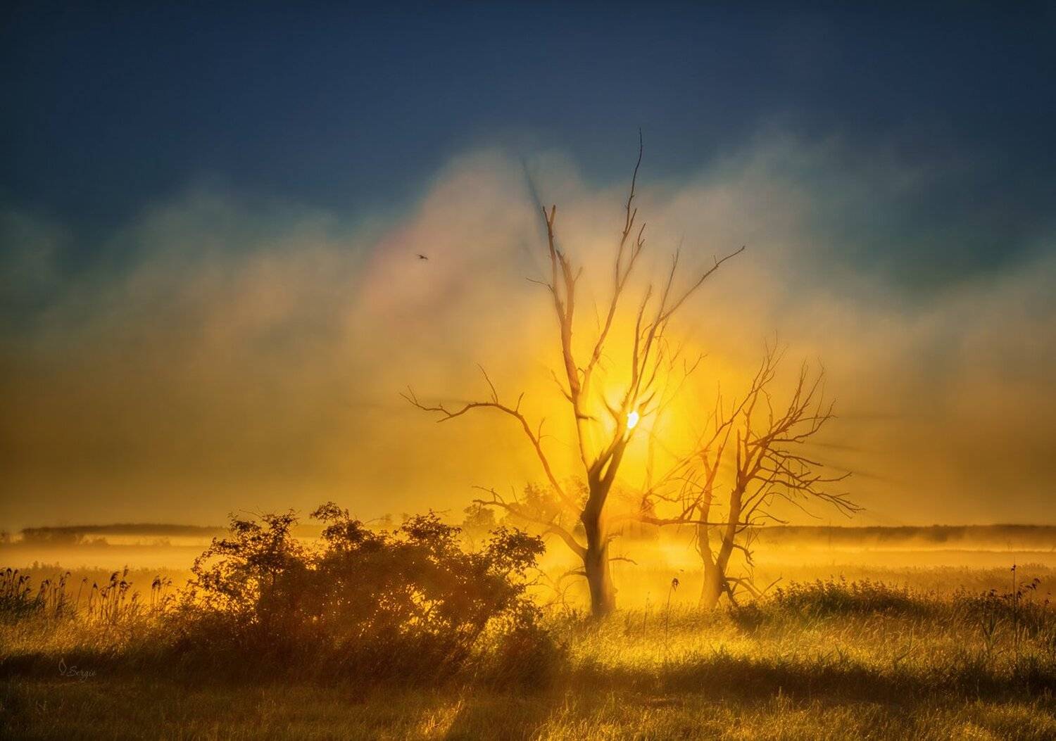 Беларусь, Серж Домбровский