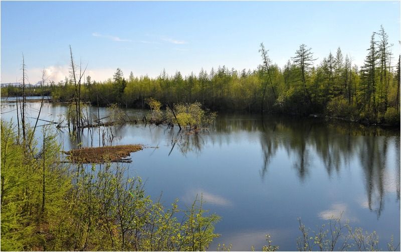 Здравствуй полярное лето. фото превью