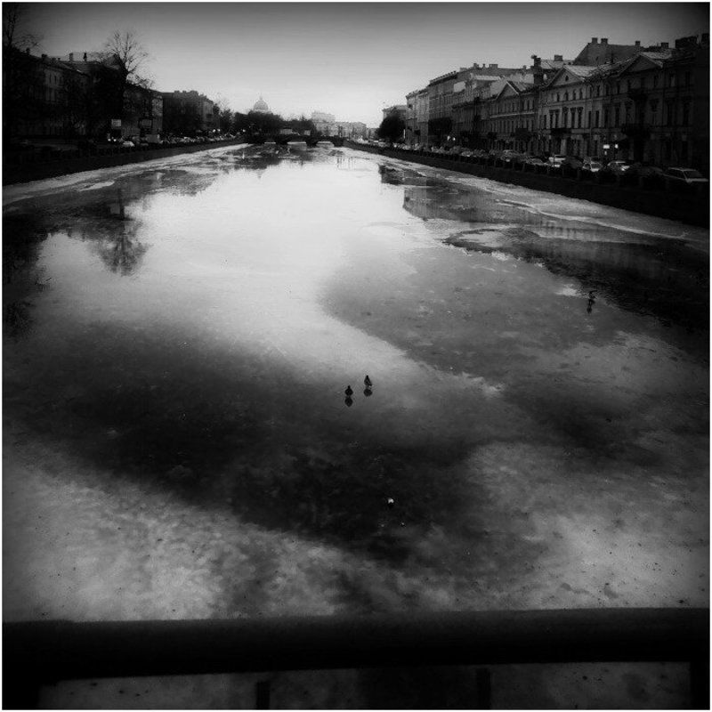 322 фото превью