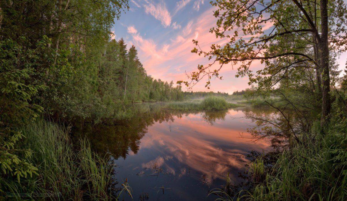 , Хохряков Николай