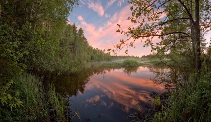 крылья июньской зари... фото превью