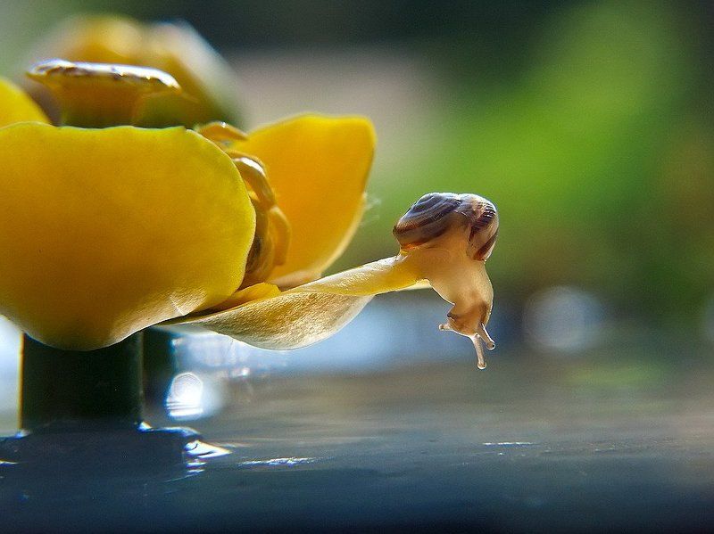 Под крышей дома моего... фото превью
