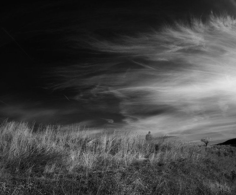 ..........the reasons blurred, the way unsure............... фото превью