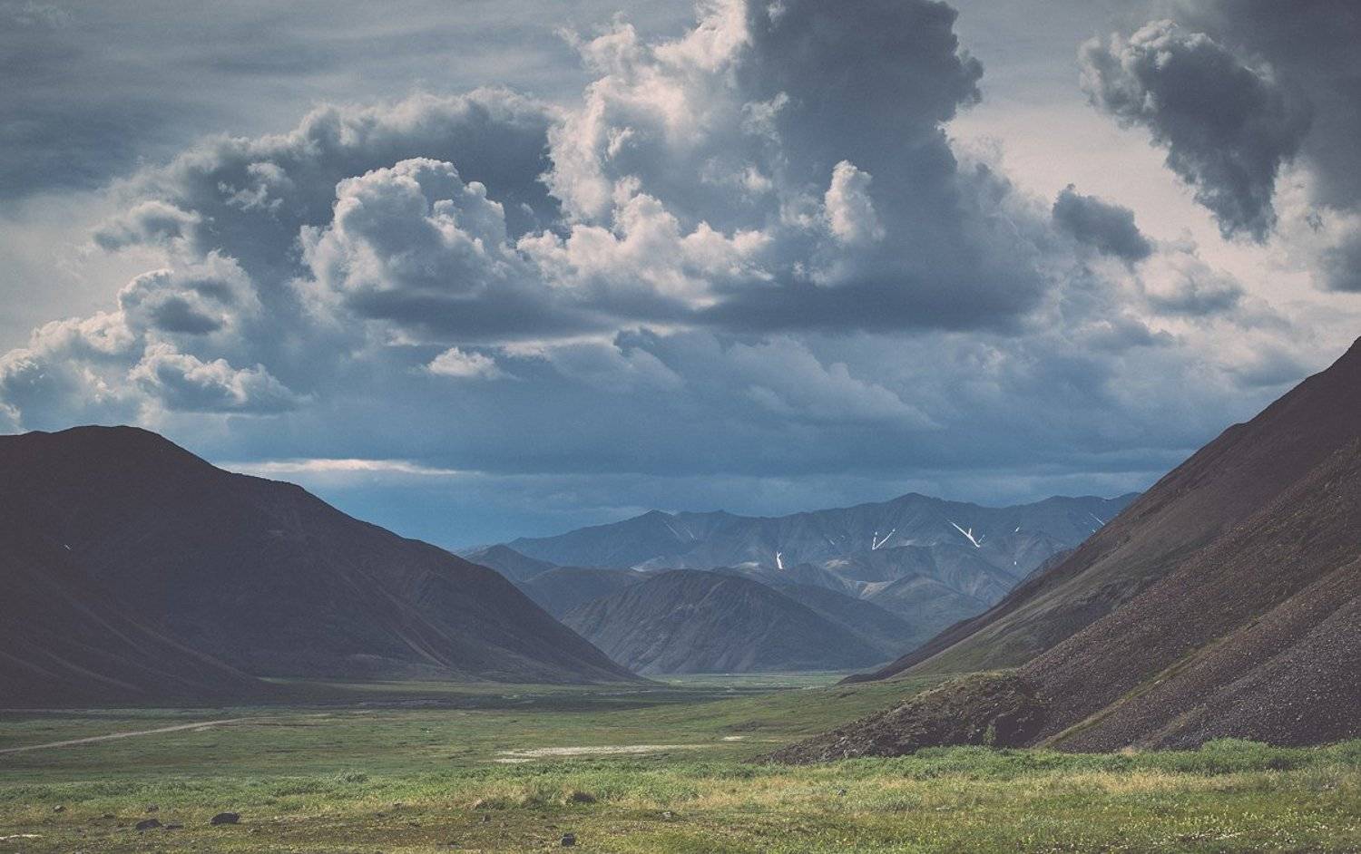 Арктика, Север, Чукотка, лето, Евгений Труфанов