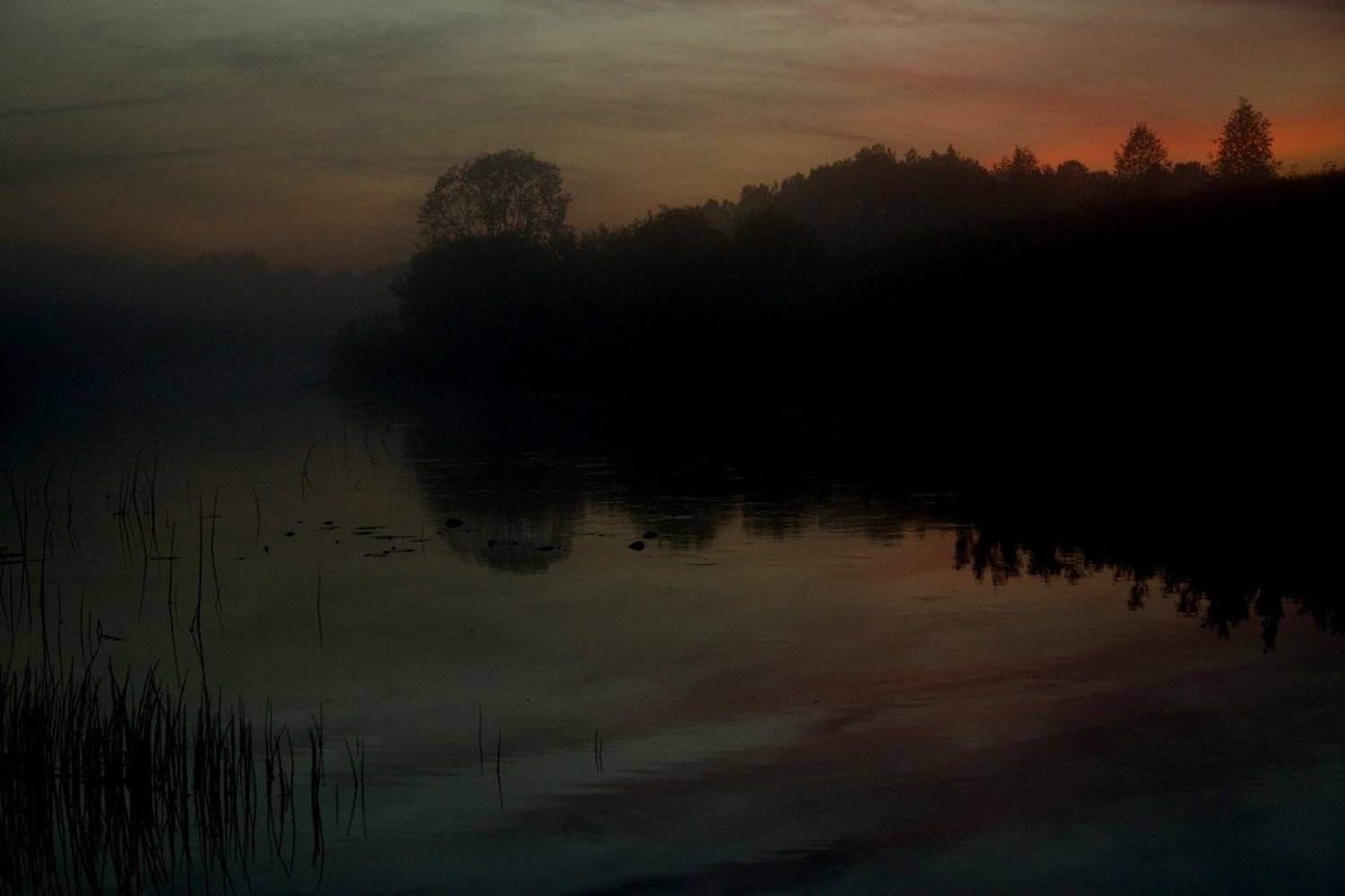 , Ирина Лепихина