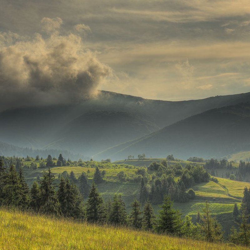 Горы, Карпаты, Лес, Небо, Равнины, Склоны, Тучи Дыханье Карпат фото превью
