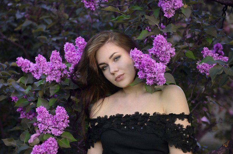 Сиреневое настроение фото превью