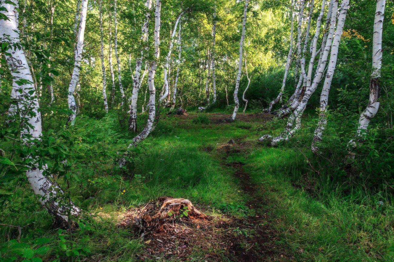 , Леонид Дьяченко