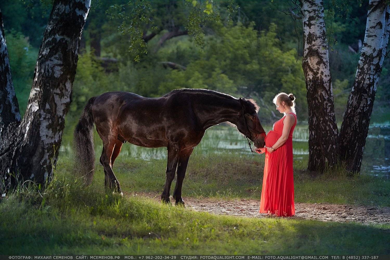 , Михаил Семенов