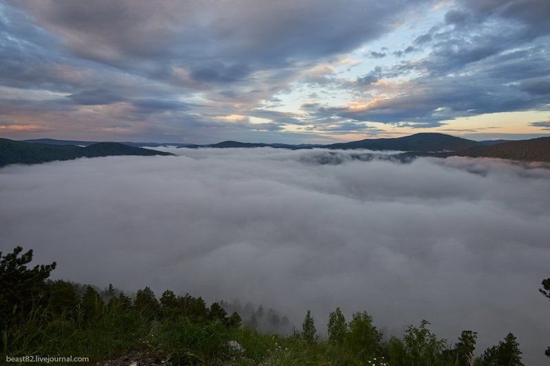 Мана Туманное утро на р. Мана фото превью