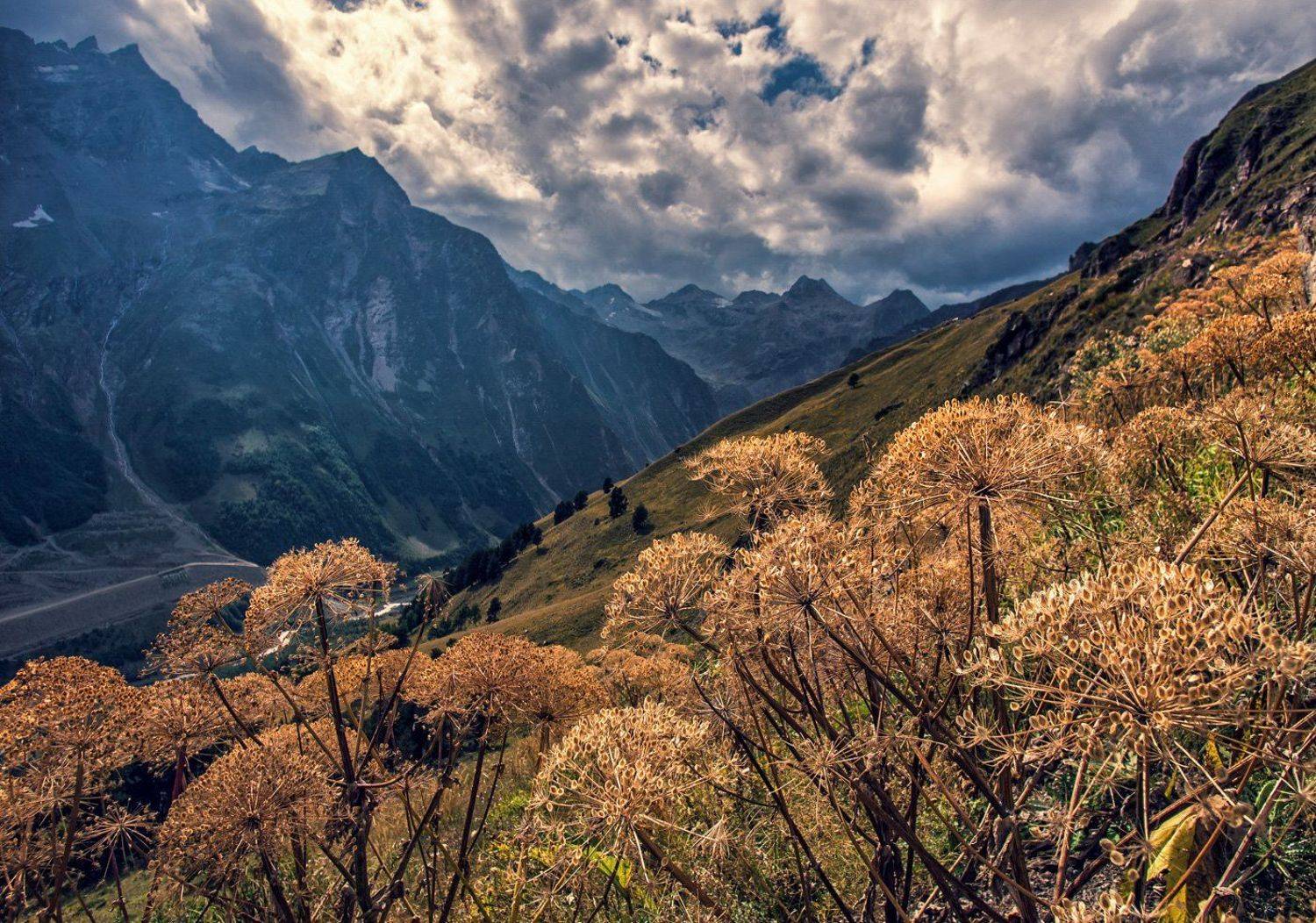 , Игорь Мелекесцев