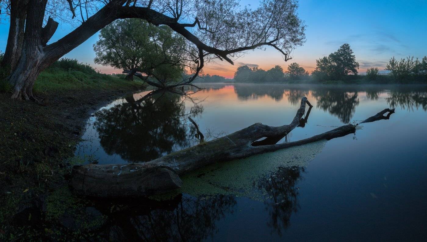 , Александр Бредихин