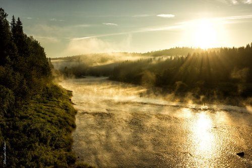 Волшебное утро на таежной речке