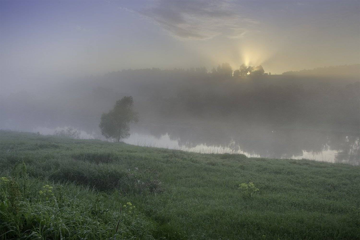 D3100, Nikon, Ока, Пейзаж, Природа, Рассвет, Река, Россия, Тульская область, Туман, Денис Щербак