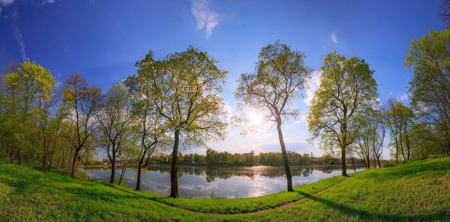 , Алексей Горохов