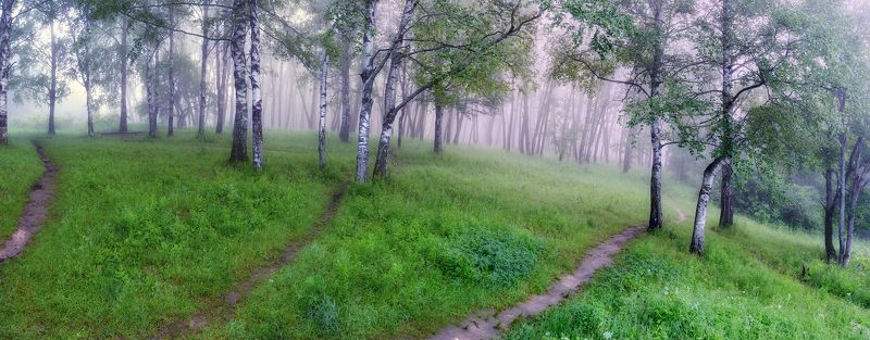 Июньское, дымчатое... фото превью