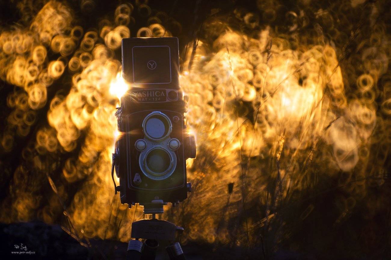 , Petr &Scaron;ed&yacute;