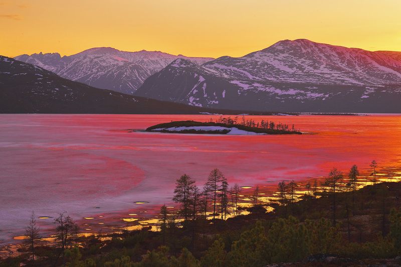 Пламень и золото льда. фото превью