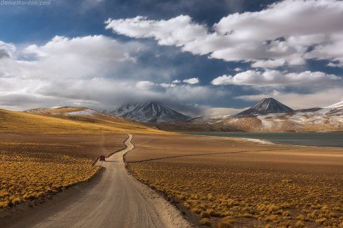 Дорога зовёт!