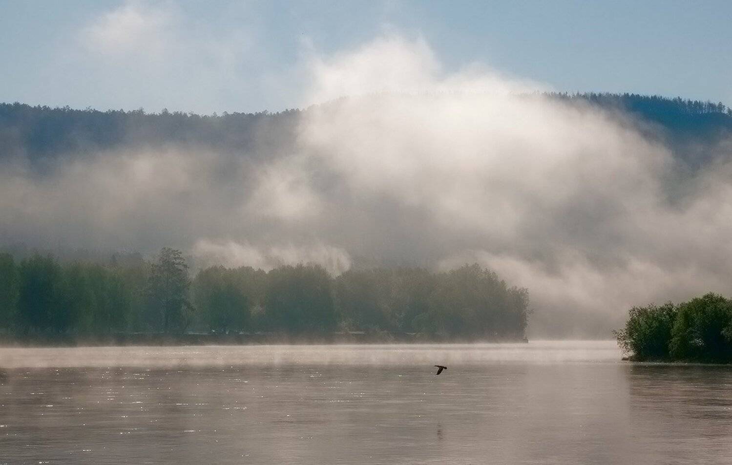 , Николай Морский