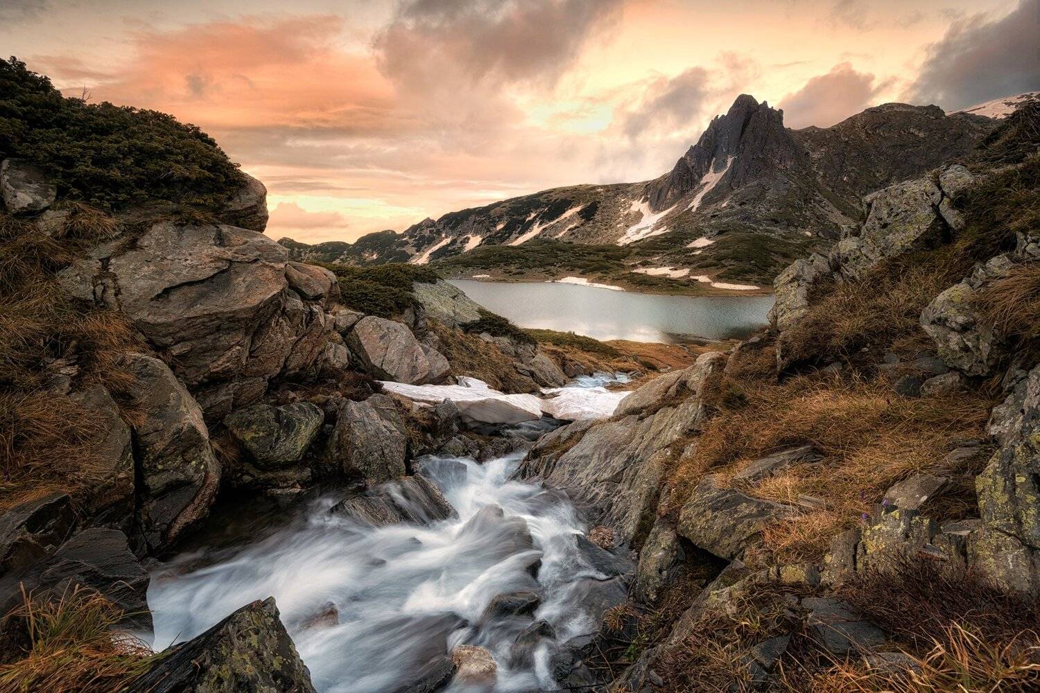 , Весела Маринова