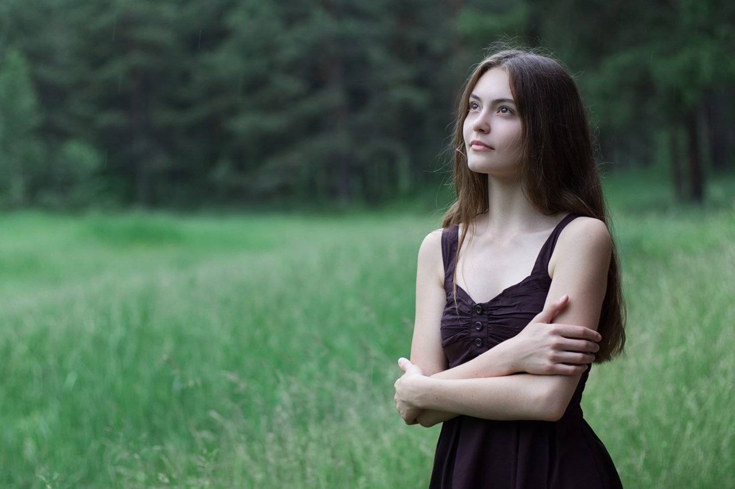Forest. Автор: Александр Емельянов , Александр Емельянов