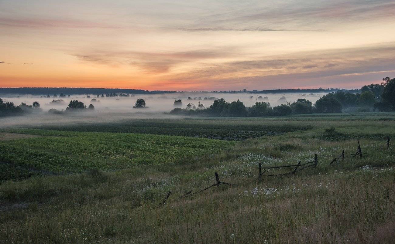 , Володимир Карчевський