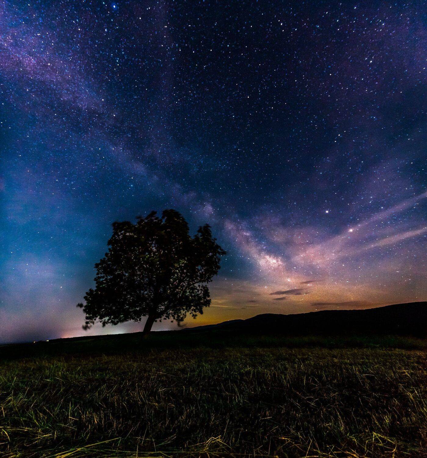 milky way, star, sky, tree, field, nightscape, night, Jeni Madjarova