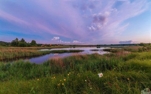 Жостовский залив.