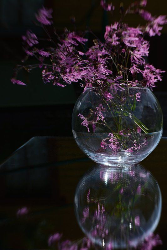 Летний ветер фото превью