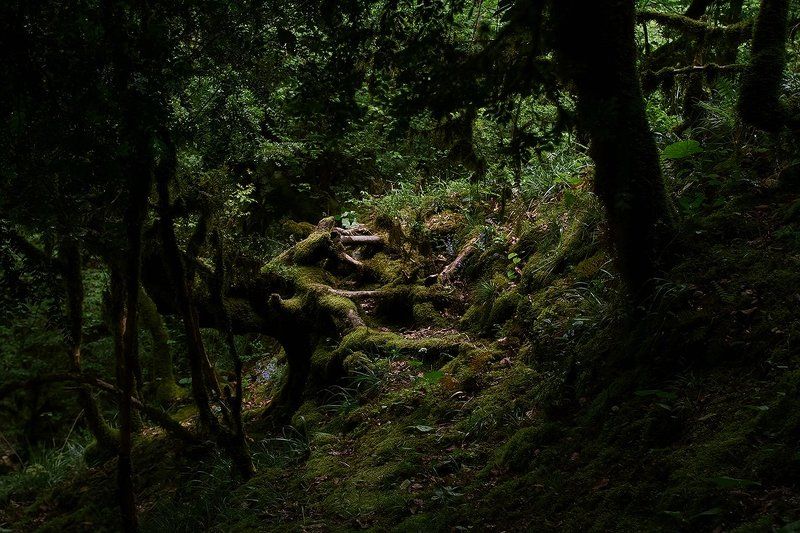 море абхазия горы небо пейзаж закат путешествия отдых   фото превью