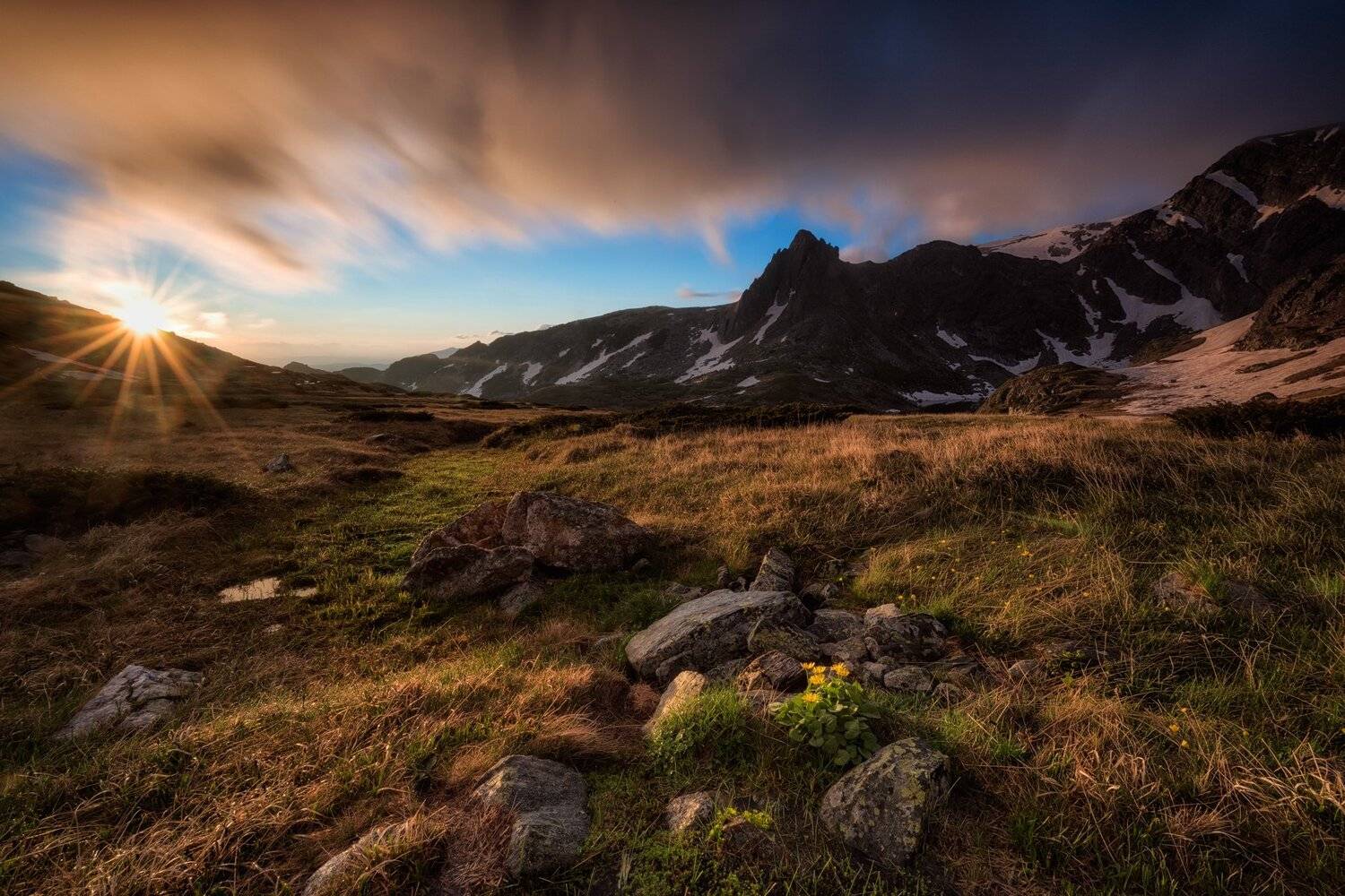 , Весела Маринова