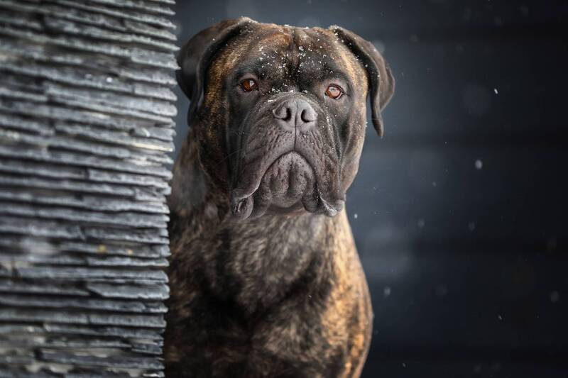 ..... фото превью