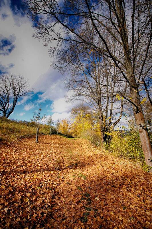 Autumn walk фото превью